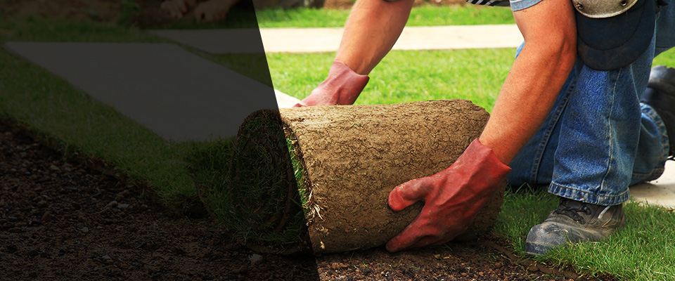 Parma Landscapers